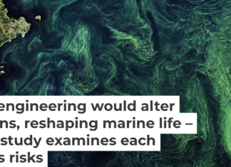 Phytoplankton blooms, seen by satellite in the Baltic Sea, pull carbon dioxide out of the atmosphere. European Space Agency via Flickr, CC BY-SA